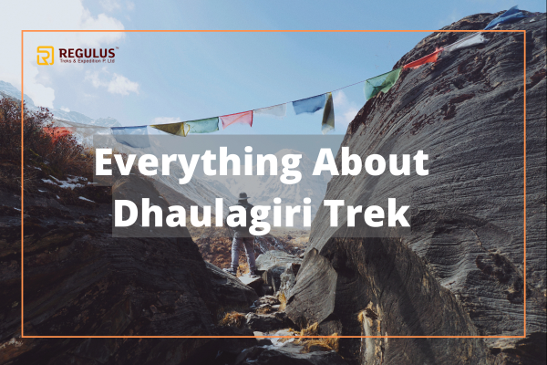 Everything You Need to Know About Dhaulagiri Trek